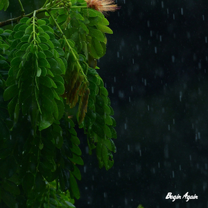 玩弄极品人妻杨幂
